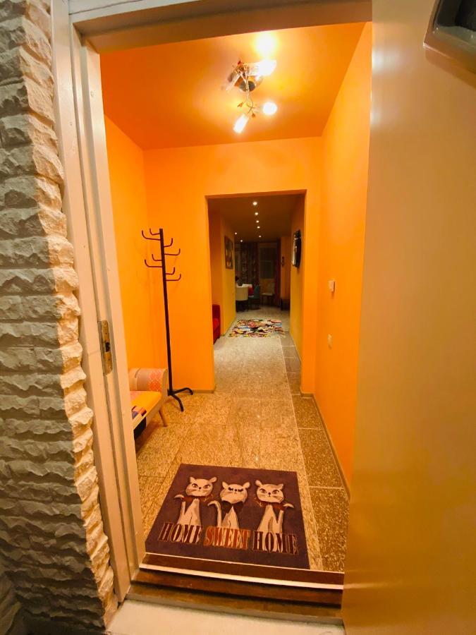 Party House Hotel Cielavas Luaran gambar